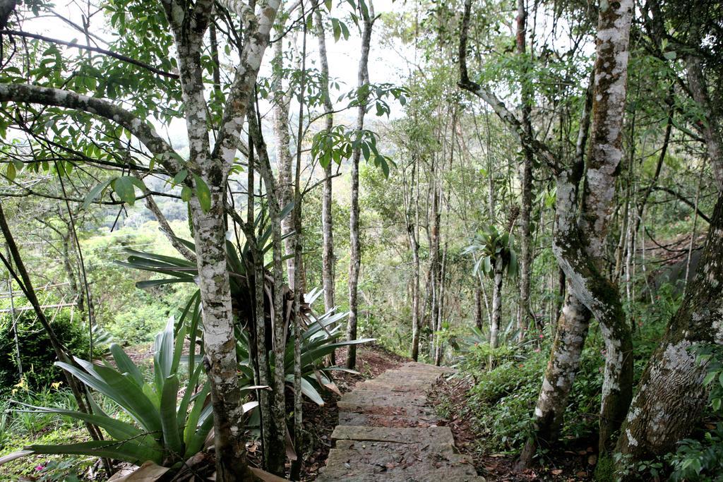 Aroso Paco Hotel Công viên tiểu bang Pedra Azul Ngoại thất bức ảnh A trail in the park